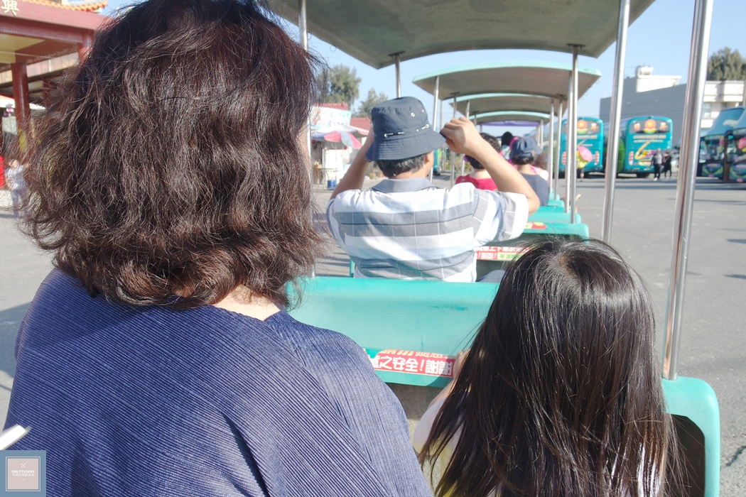 國內旅遊台南北門【井仔腳瓦盤鹽田】賞黑腹燕鷗要這個季節來,超療癒系台南熱門打卡景點