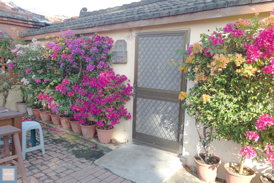 國內旅遊台南北門【井仔腳瓦盤鹽田】賞黑腹燕鷗要這個季節來,超療癒系台南熱門打卡景點