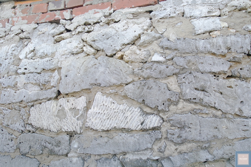 國內旅遊台南北門【井仔腳瓦盤鹽田】賞黑腹燕鷗要這個季節來,超療癒系台南熱門打卡景點