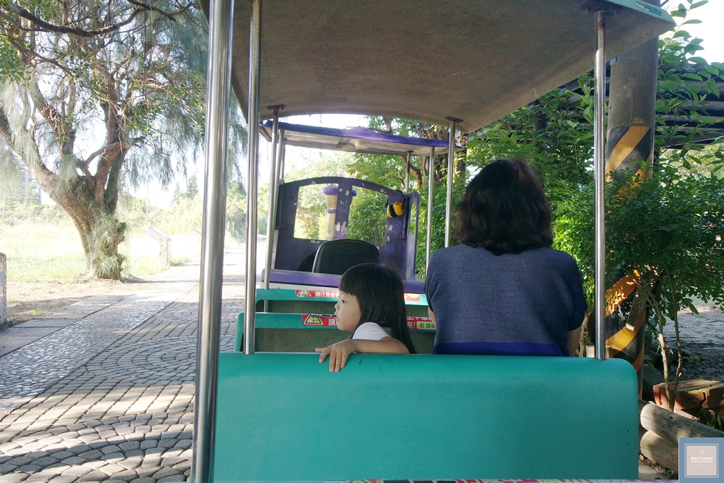 國內旅遊台南北門【井仔腳瓦盤鹽田】賞黑腹燕鷗要這個季節來,超療癒系台南熱門打卡景點