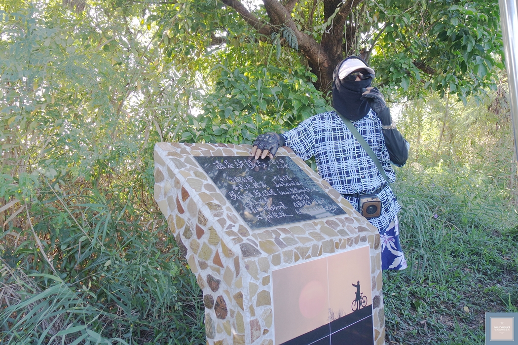 國內旅遊台南北門【井仔腳瓦盤鹽田】賞黑腹燕鷗要這個季節來,超療癒系台南熱門打卡景點