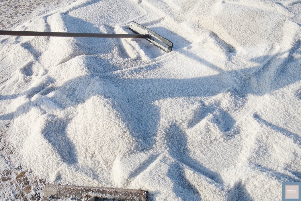 國內旅遊台南北門【井仔腳瓦盤鹽田】賞黑腹燕鷗要這個季節來,超療癒系台南熱門打卡景點