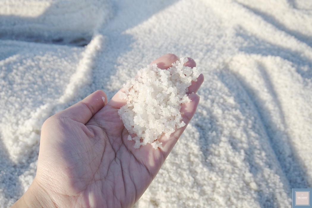 國內旅遊台南北門【井仔腳瓦盤鹽田】賞黑腹燕鷗要這個季節來,超療癒系台南熱門打卡景點