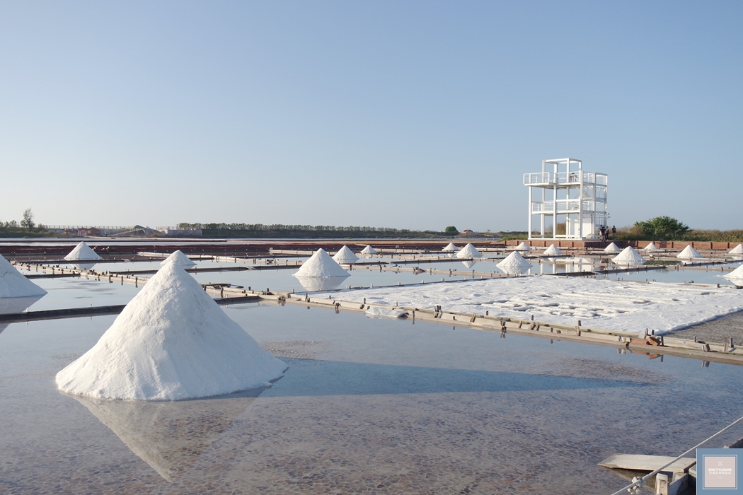 國內旅遊台南北門【井仔腳瓦盤鹽田】賞黑腹燕鷗要這個季節來,超療癒系台南熱門打卡景點