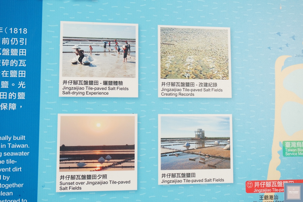 國內旅遊台南北門【井仔腳瓦盤鹽田】賞黑腹燕鷗要這個季節來,超療癒系台南熱門打卡景點