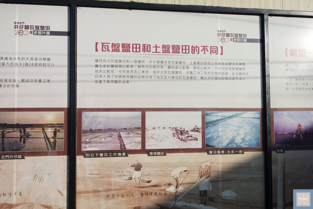 國內旅遊台南北門【井仔腳瓦盤鹽田】賞黑腹燕鷗要這個季節來,超療癒系台南熱門打卡景點