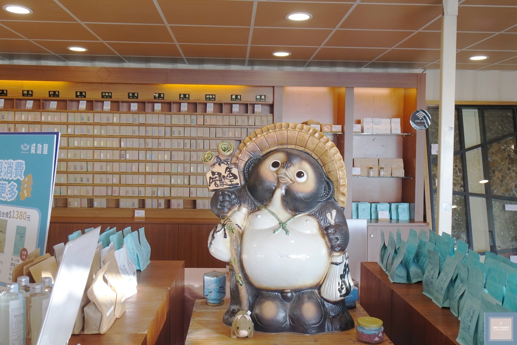 國內旅遊台南北門【井仔腳瓦盤鹽田】賞黑腹燕鷗要這個季節來,超療癒系台南熱門打卡景點