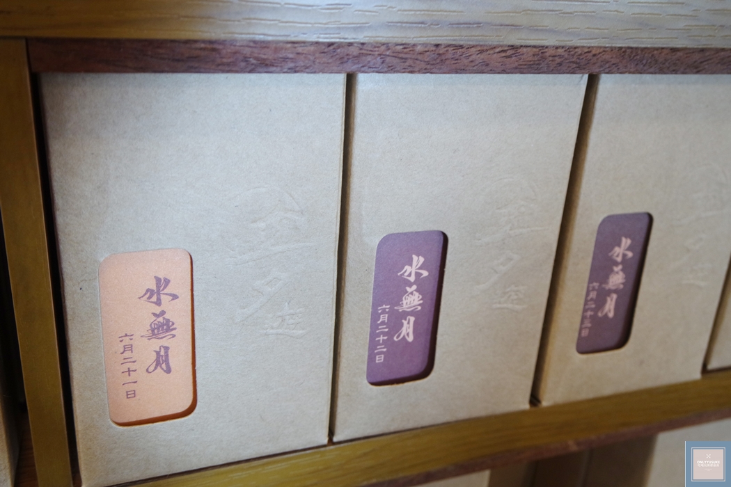 國內旅遊台南北門【井仔腳瓦盤鹽田】賞黑腹燕鷗要這個季節來,超療癒系台南熱門打卡景點