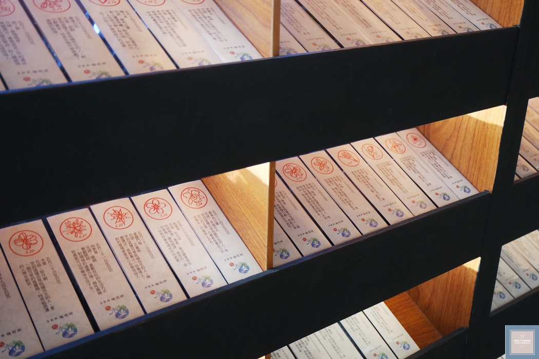 國內旅遊台南北門【井仔腳瓦盤鹽田】賞黑腹燕鷗要這個季節來,超療癒系台南熱門打卡景點