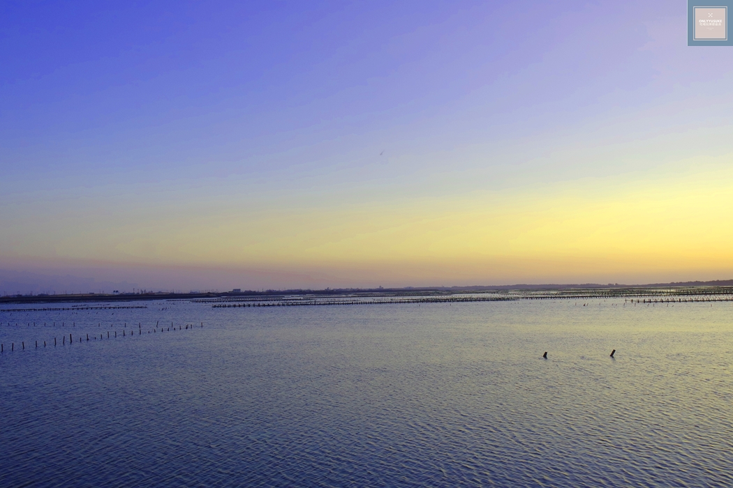 國內旅遊台南北門【井仔腳瓦盤鹽田】賞黑腹燕鷗要這個季節來,超療癒系台南熱門打卡景點