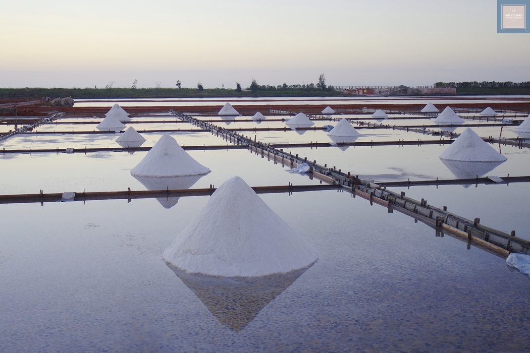 國內旅遊台南北門【井仔腳瓦盤鹽田】賞黑腹燕鷗要這個季節來,超療癒系台南熱門打卡景點