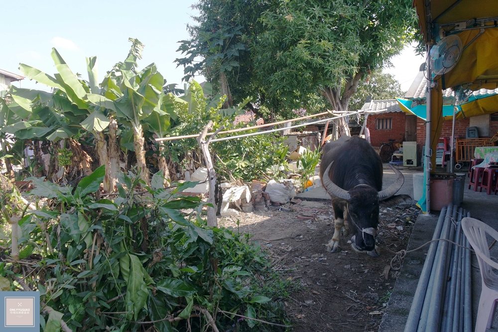 國內旅遊台南後壁區【無米樂菁寮老街】偶像劇俗女養成記拍攝景點,很有復古感的嫁妝街