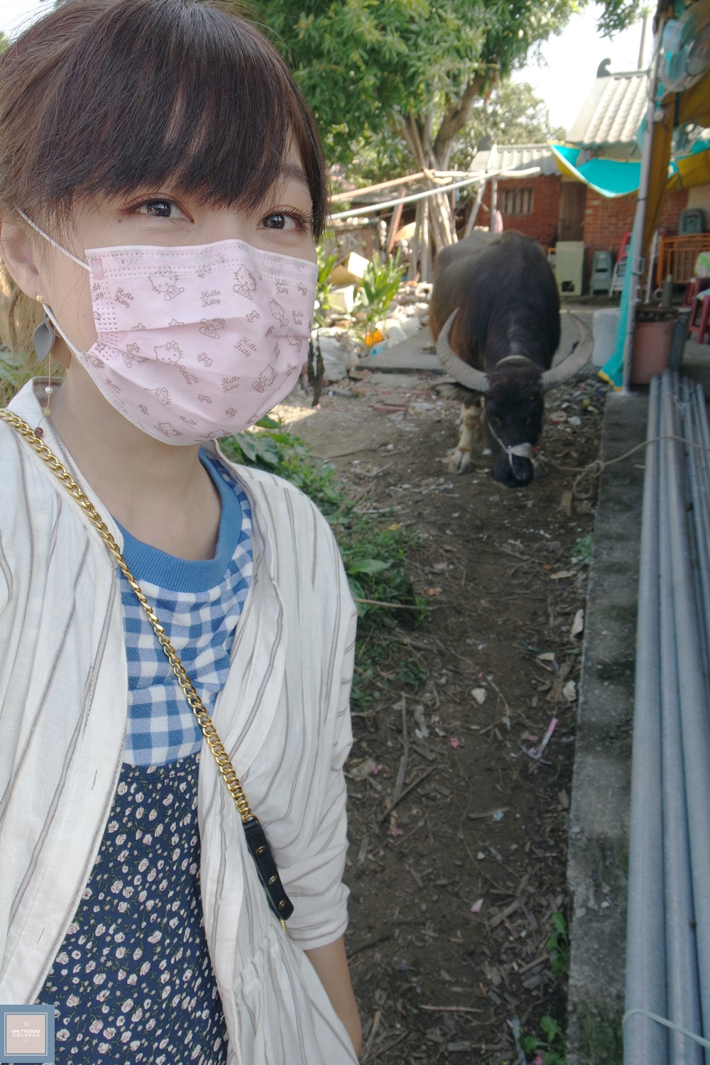 國內旅遊台南後壁區【無米樂菁寮老街】偶像劇俗女養成記拍攝景點,很有復古感的嫁妝街