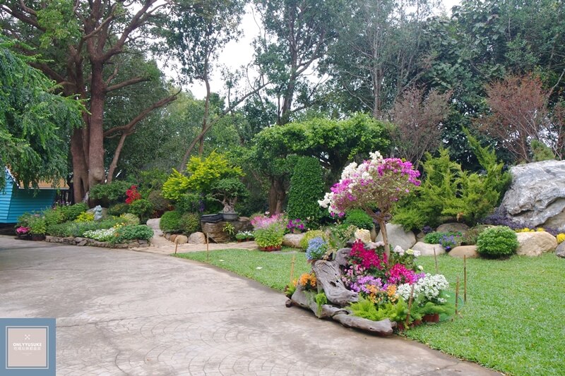 苗栗超美的花露農場