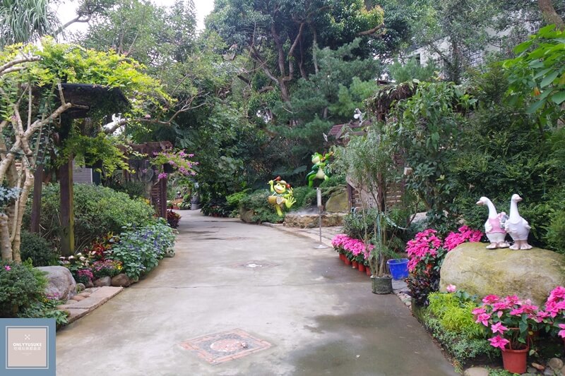 苗栗超美的花露農場