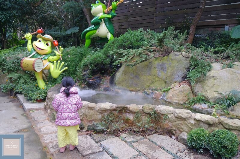 苗栗超美的花露農場