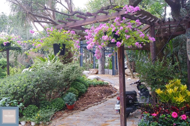 苗栗超美的花露農場