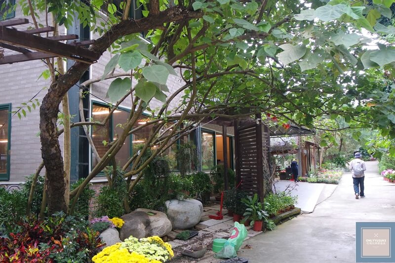 苗栗超美的花露農場