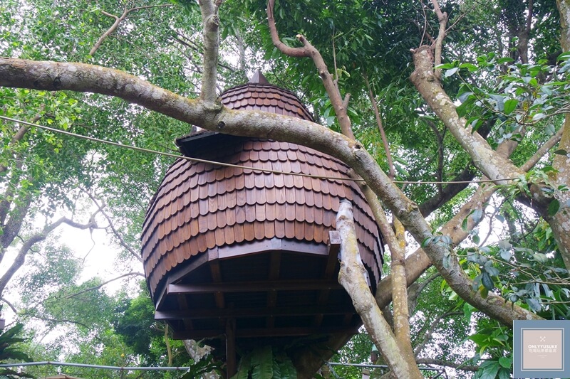 苗栗超美的花露農場