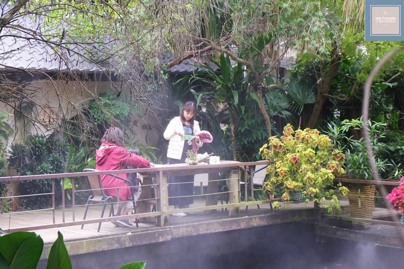 花露農場的雨林部落區