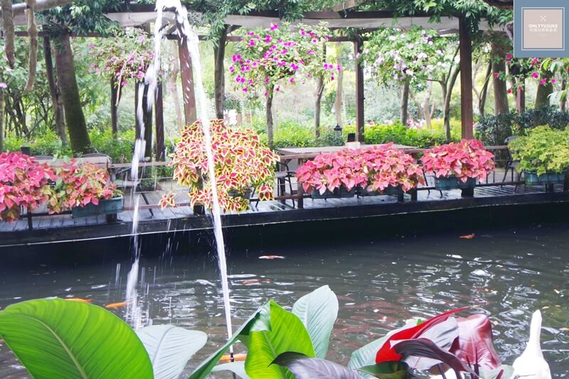 花露農場的雨林部落區