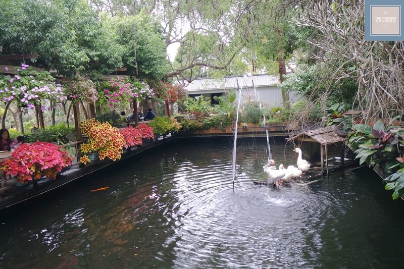 花露農場的雨林部落區