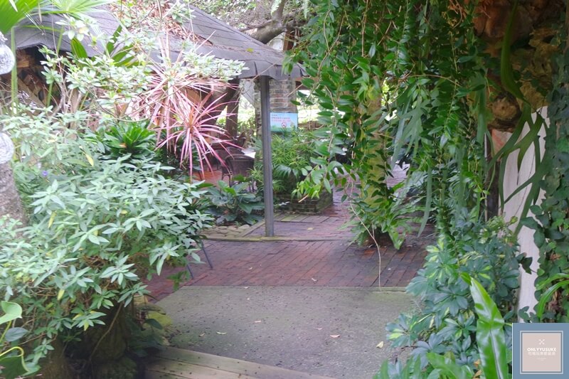 花露農場的雨林部落區