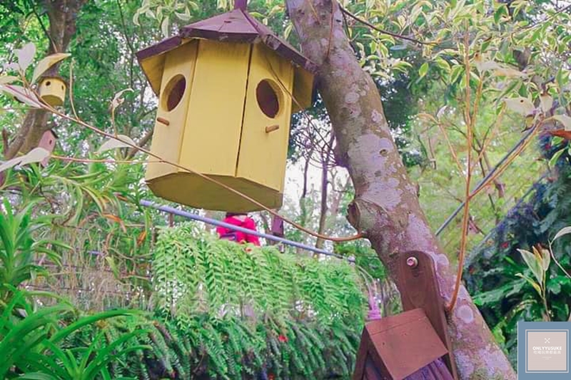 苗栗【花露農場】從童話故事主角變成畫中人物再來異國小鄉村