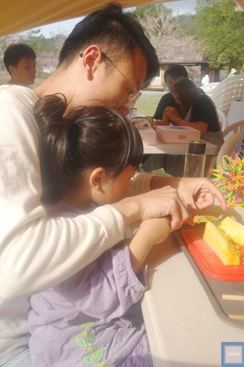 蝶舞澗手作鳳梨醬