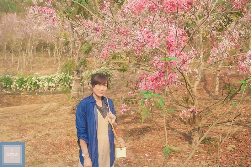 蝶舞澗真的太美了