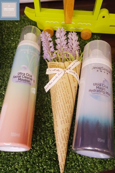 漢城淨雪肌酵棒