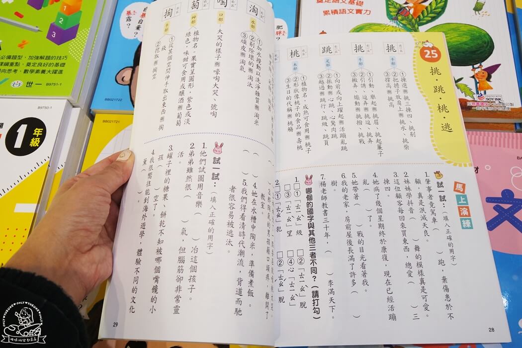 小學生認字通 不再寫錯字