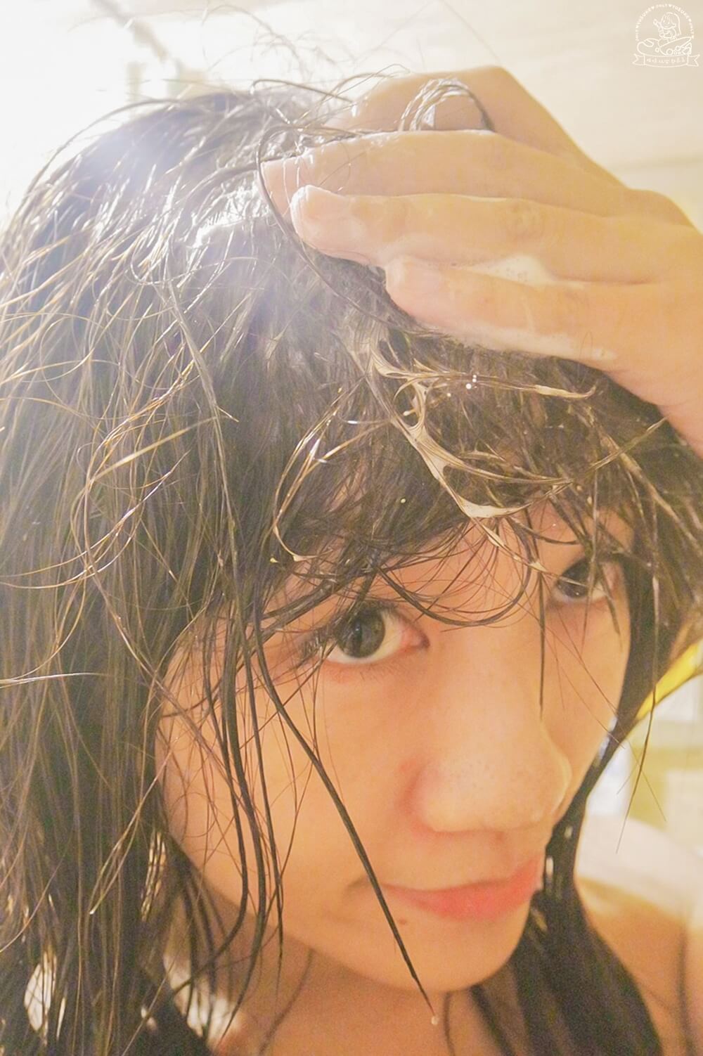 noireflet植萃洗髮精評價