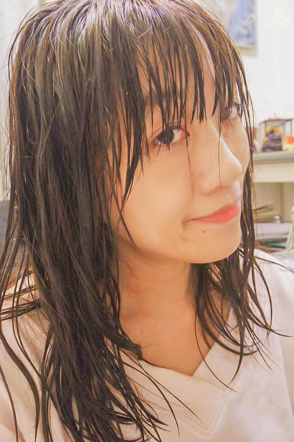 noireflet植萃洗髮精評價