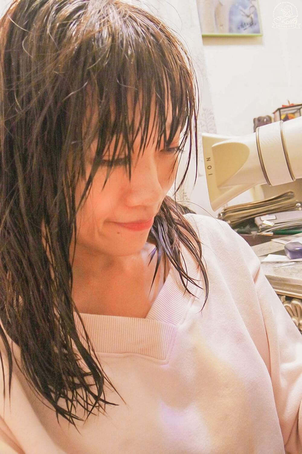 noireflet植萃洗髮精評價