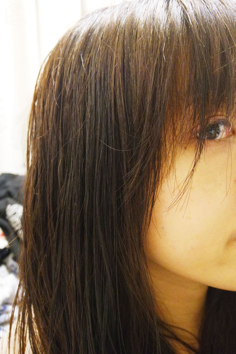 noireflet植萃洗髮精評價