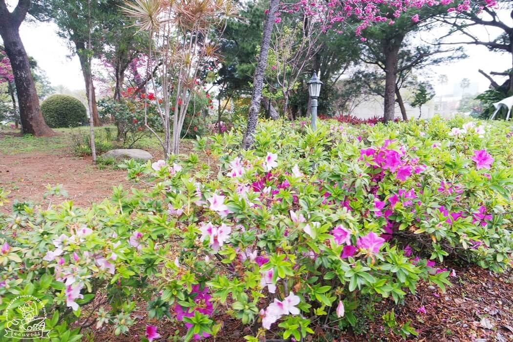 麗寶樂園好玩嗎？