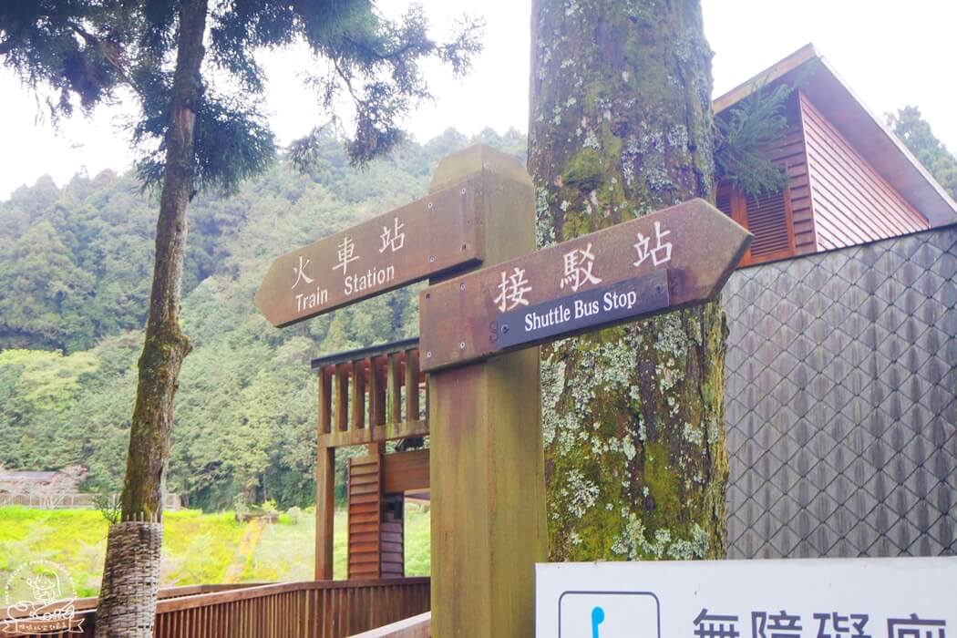 阿里山國家公園