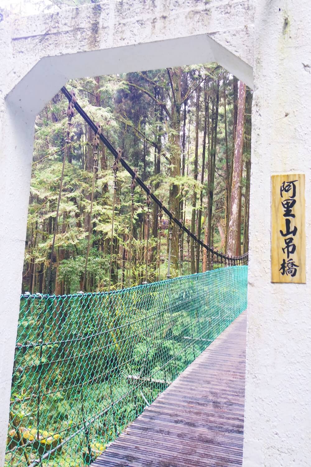阿里山吊橋