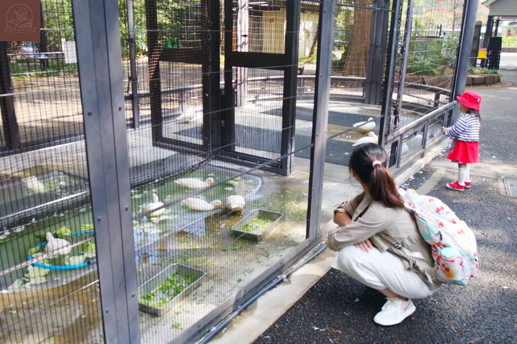 井之頭自然文化園