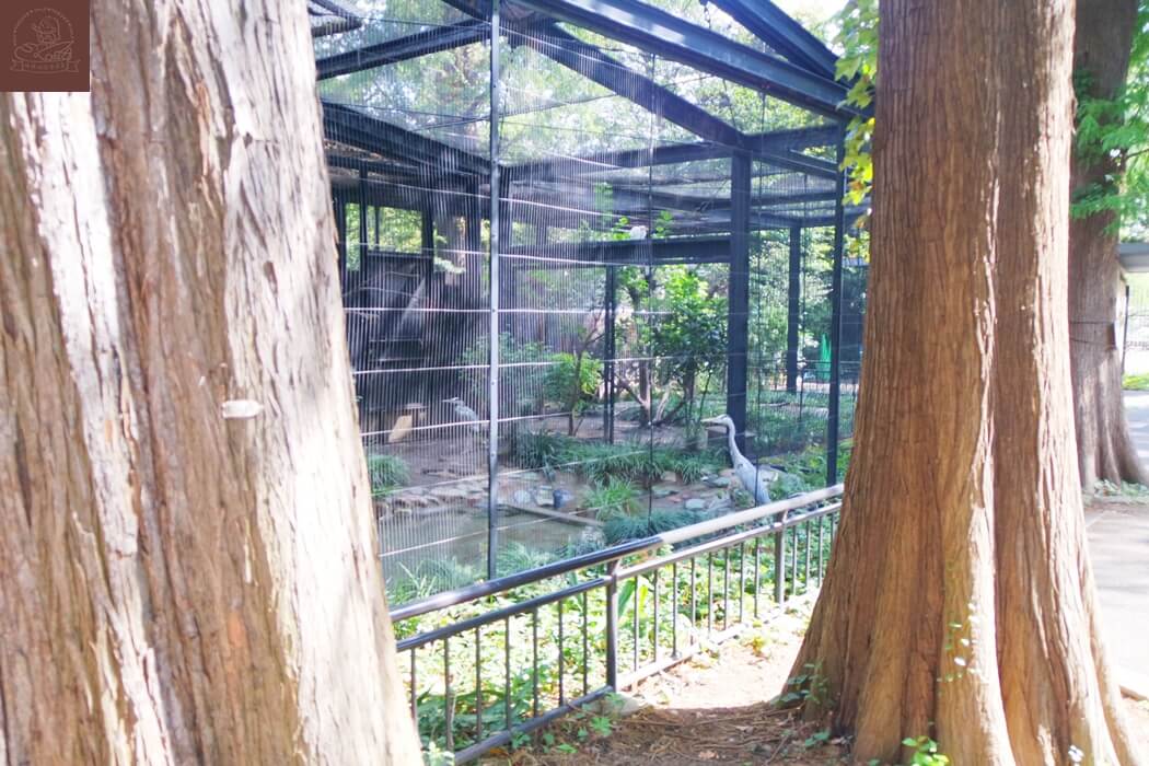 井之頭自然文化園