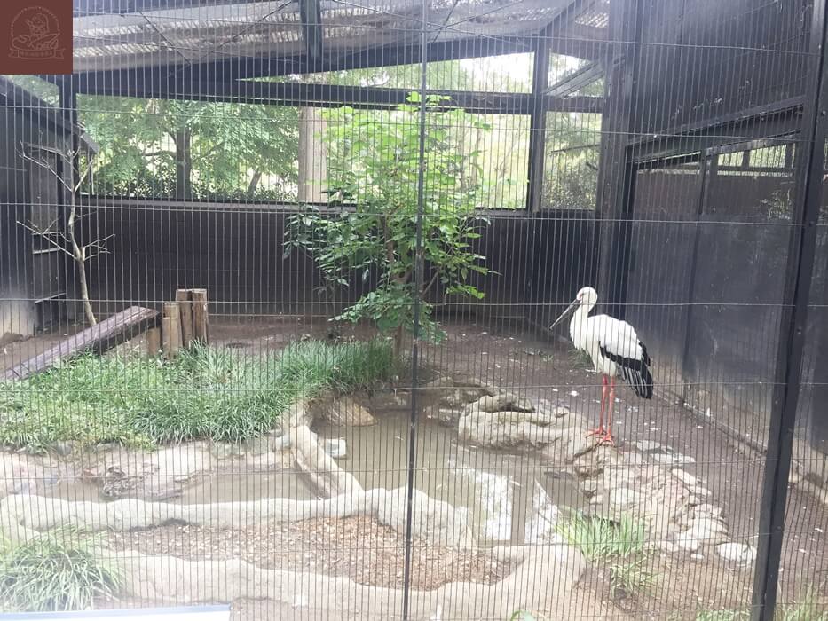 井之頭自然文化園