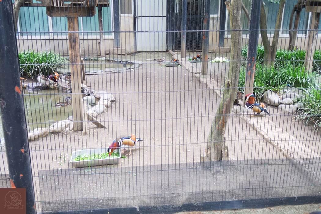 井之頭自然文化園