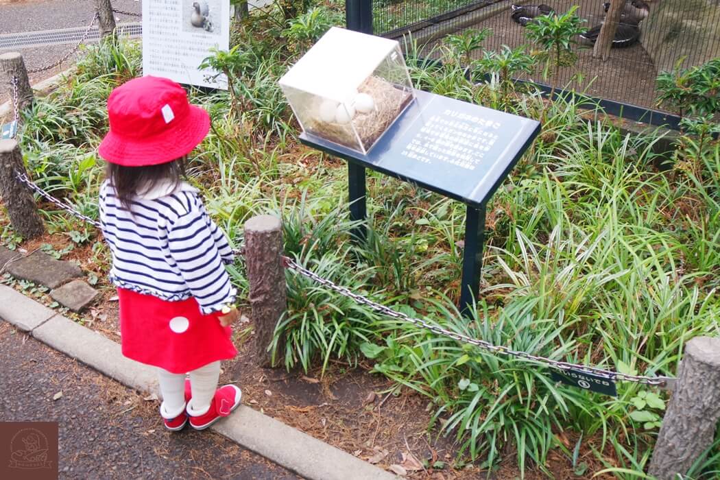 井之頭自然文化園