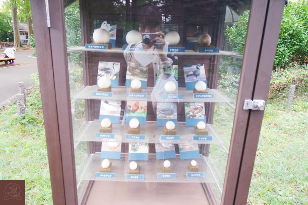 井之頭自然文化園