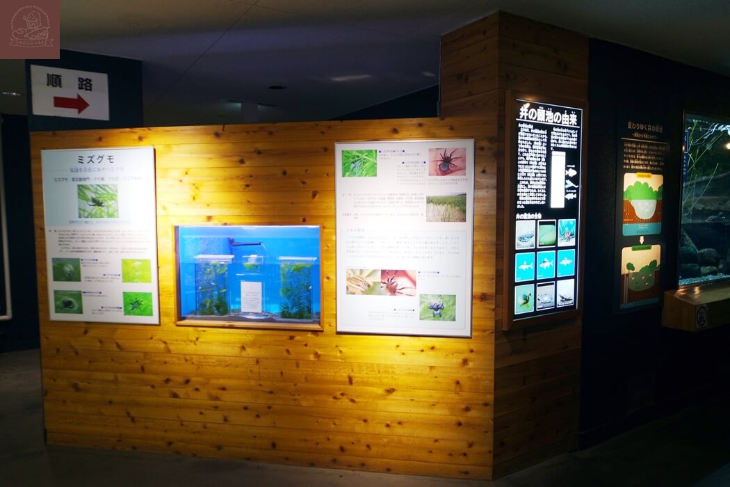 井之頭自然文化園水生物館