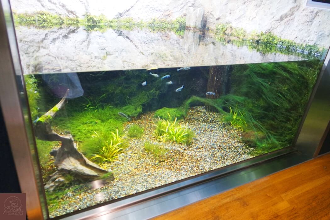 井之頭自然文化園水生物館