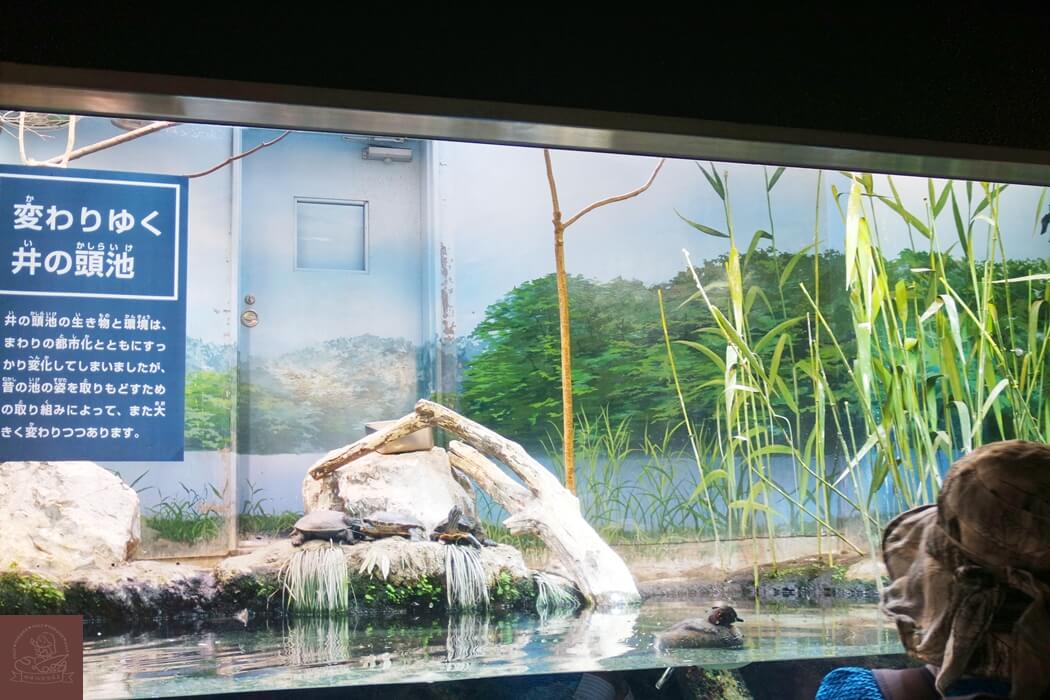 井之頭自然文化園水生物館