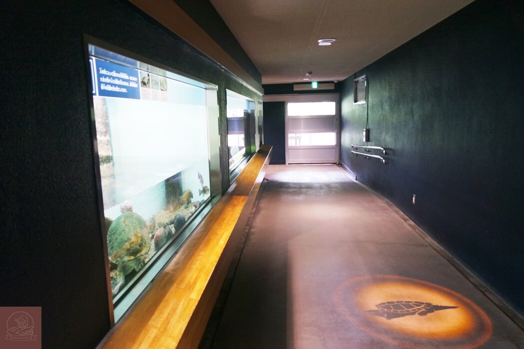 井之頭自然文化園水生物館