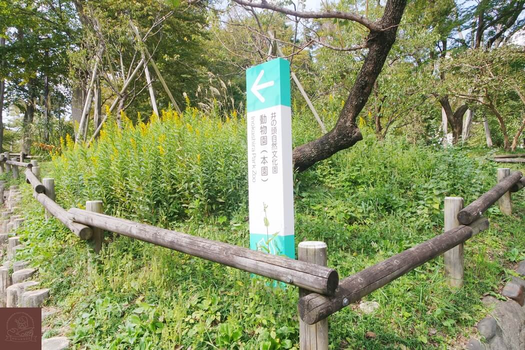 井之頭公園動物園